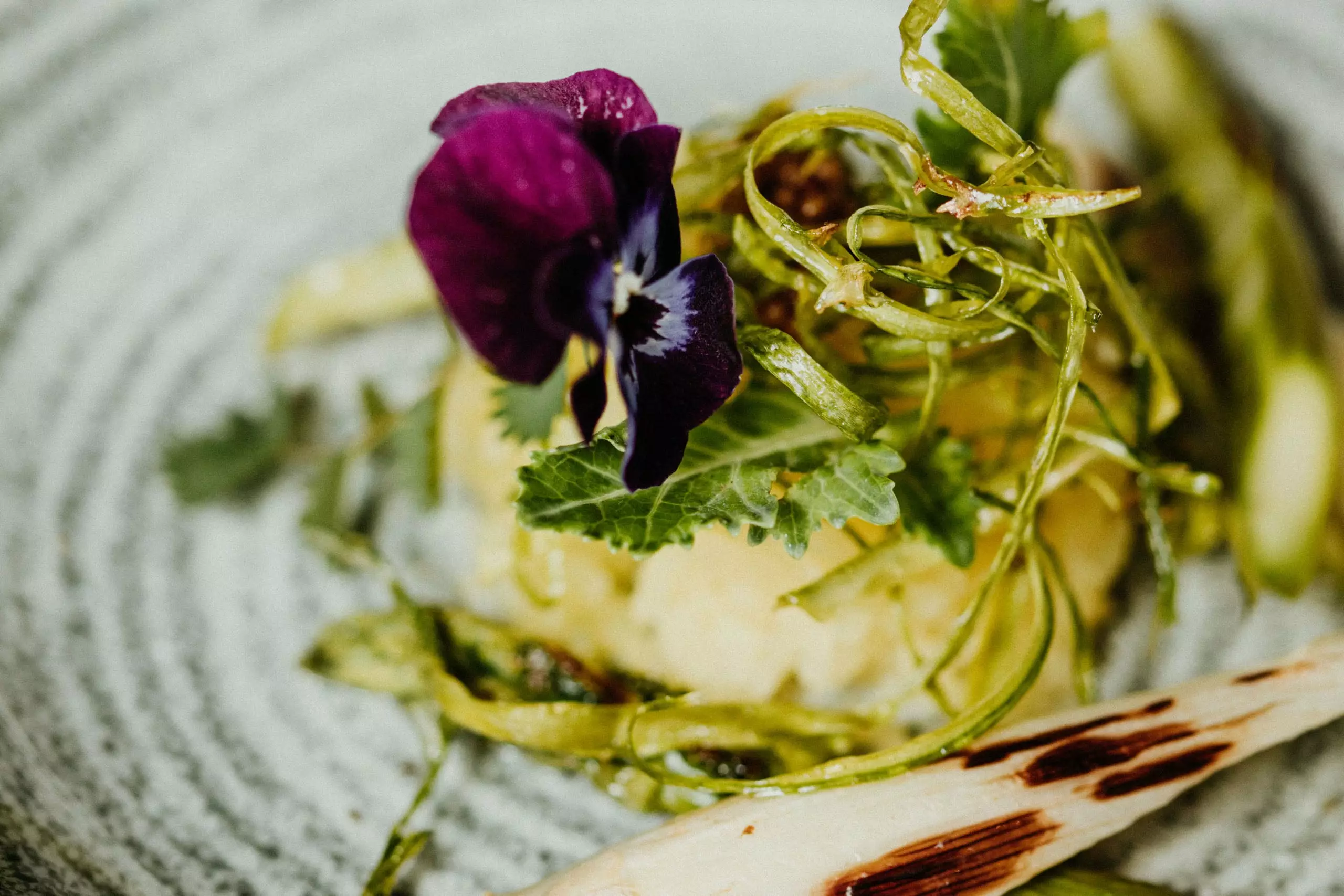Fein angerichteter Teller mit essbarer Blüte, grünen Kräutern und gegrilltem Gemüse im Betriebsrestaurant Cateringservice